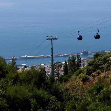 Ourmadeira - Babosas Village, Gardenias And Greenspaces